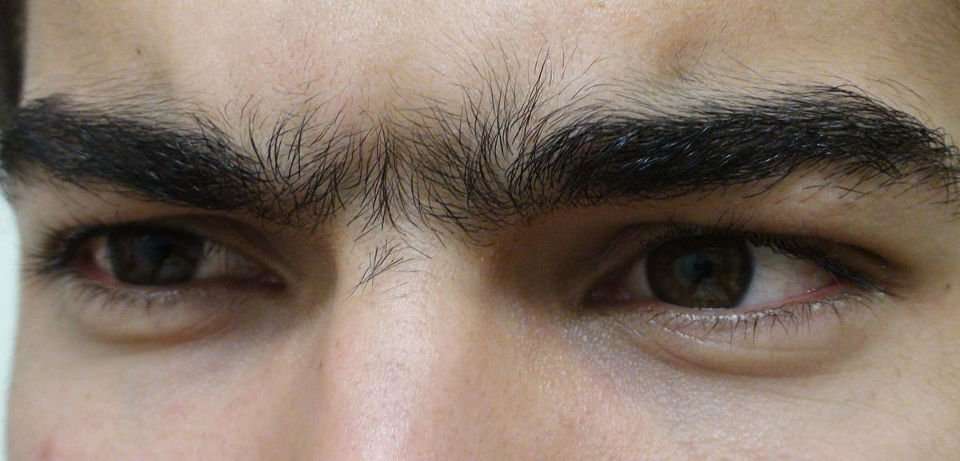 1200px Unibrow Close Up