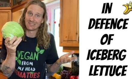 In Defence of Iceberg Lettuce