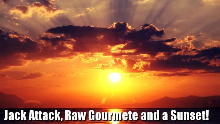 Jack attack, Raw Gourmet n a Sunset 8 Jack attack, Raw Gourmet n a Sunset