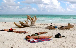 beach my top sources of vitamin d as a raw vegan