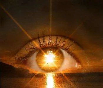 sungaze To My Top 4 Sources of Vitamin D As a Raw Vegan