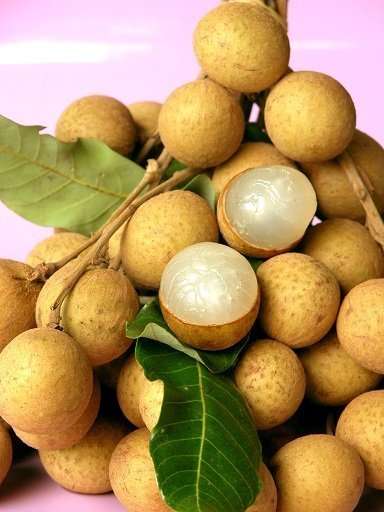 longan