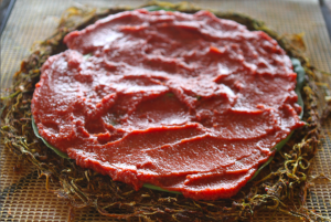 The Best Raw Vegan Pizza Crust