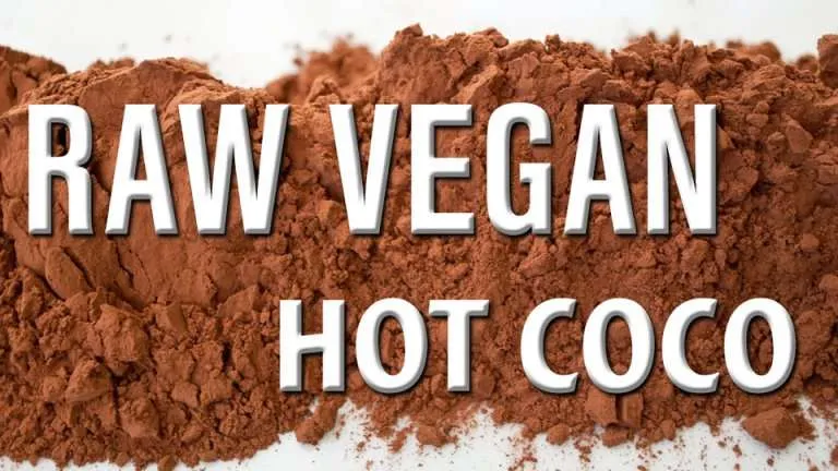 raw vegan hot chocolate recipe