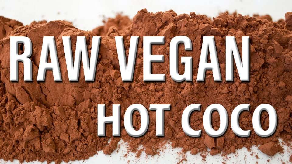 Raw Vegan Hot Chocolate and Marshmallows Recipe