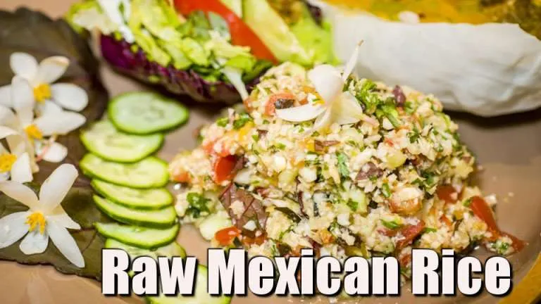 Raw Mexican Rice or Couscous and the Woodstock Fruit Festival!