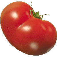 5 tomato png image thumb