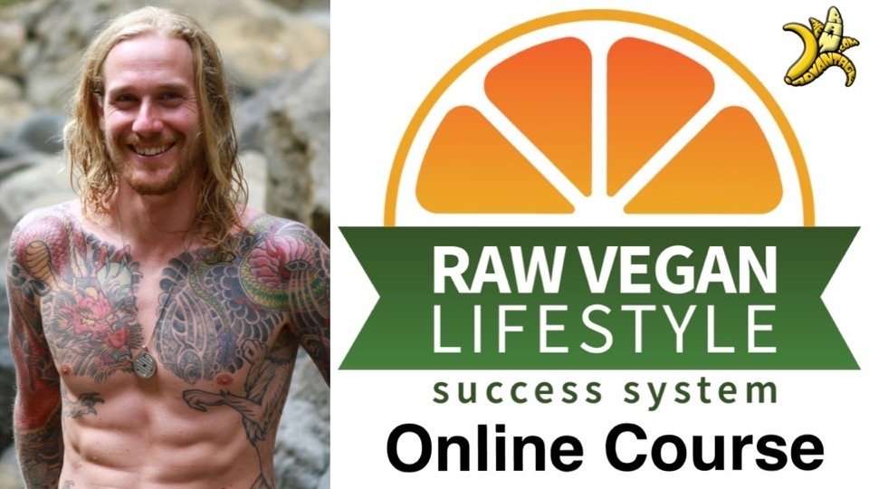 Raw vegan lifestyle success system online course