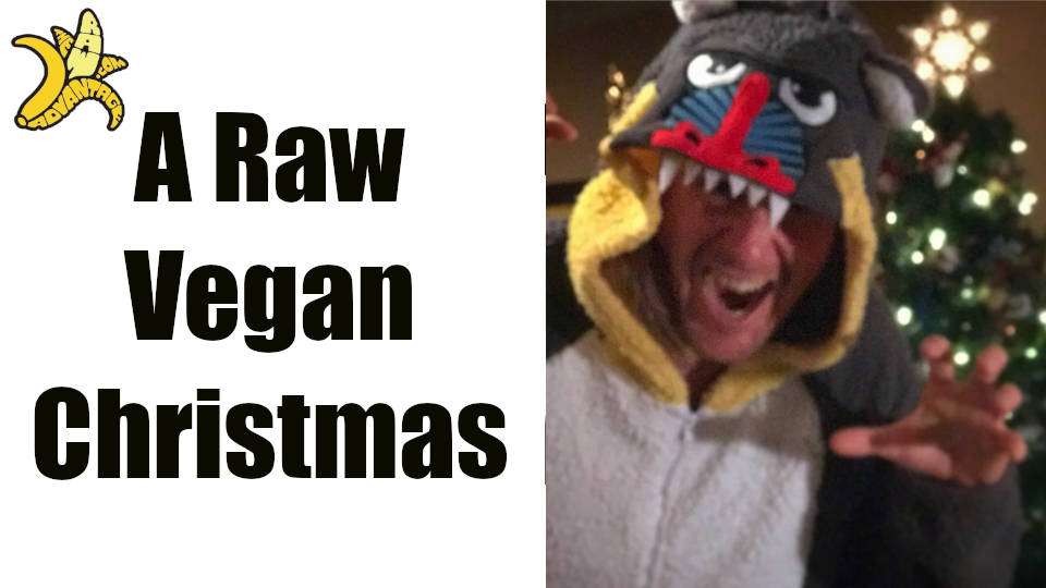 A Raw Vegan Christmas