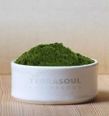 Barley grass juice powder close