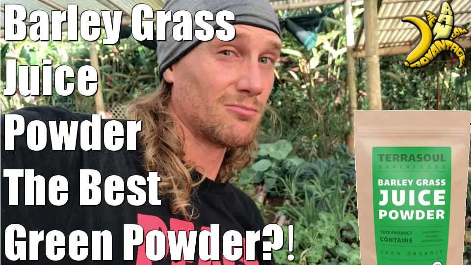 Barley Grass Juice Powder | The Best Green Powder?!