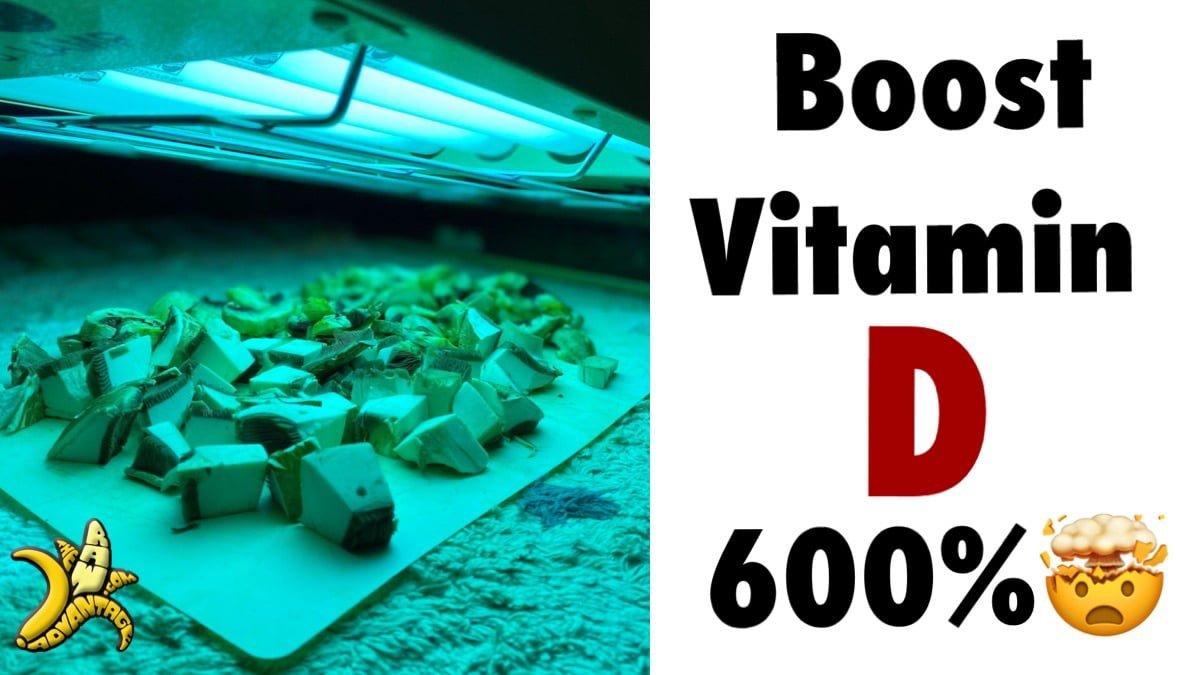 Boost Vitamin D 600