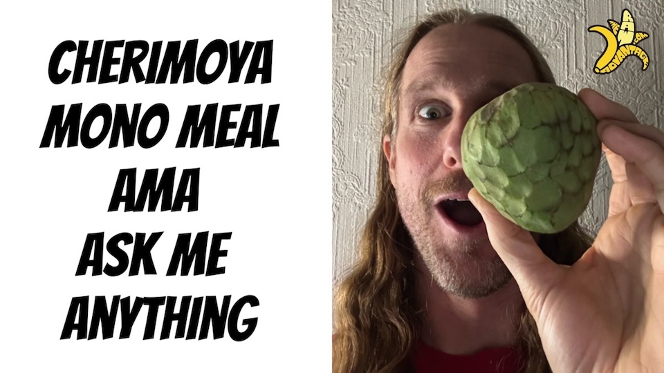 raw vegan questions answered