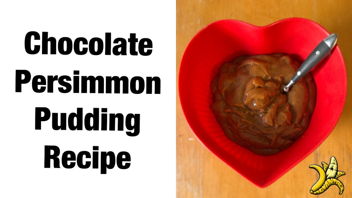 Chocolate Persimmon Pudding Recipe
