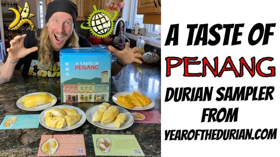 A Taste of Penang Durian Sampler Unboxing YearoftheDurian.com
