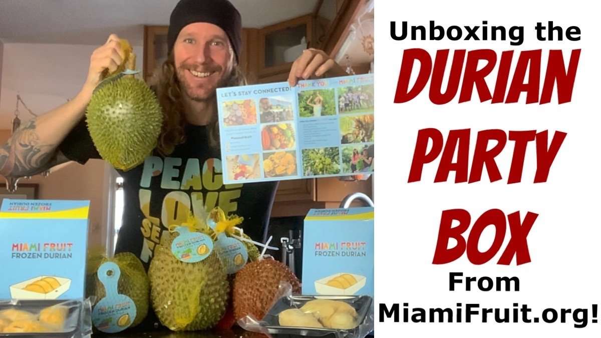 Durian Party Box Miami Fruit