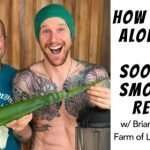 How to Use Aloe Vera & Soothing Smoothie Recipe w/ Brian Calvi from Farm of Life Costa Rica