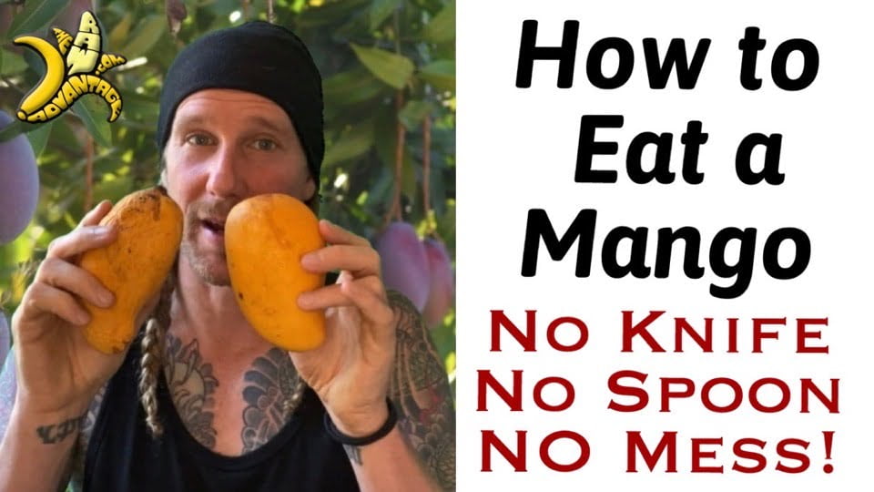 How to Eat a Mango, No Knife, No Spoon, No Mess!