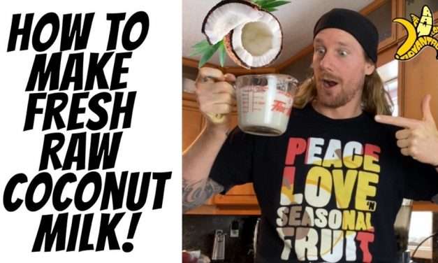 How to Make Fresh Raw Coconut Milk!