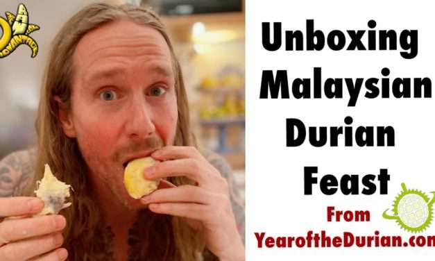 Unboxing the Malaysian Durian Feast from YearoftheDurian.com