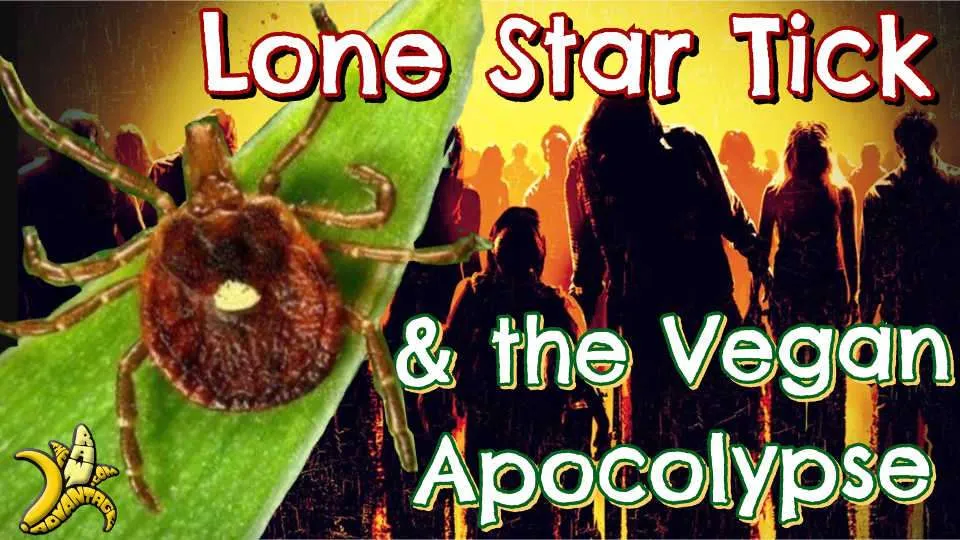 Lone Star Tick | The Vegan Apocalypse