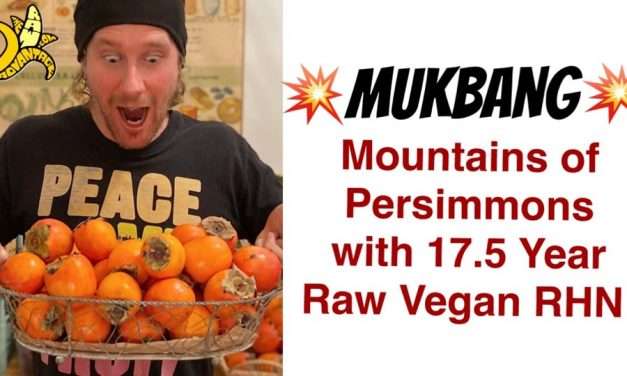 Persimmon MUKBANG – Mountains of Persimmons w 17.5 year Raw Vegan RHN