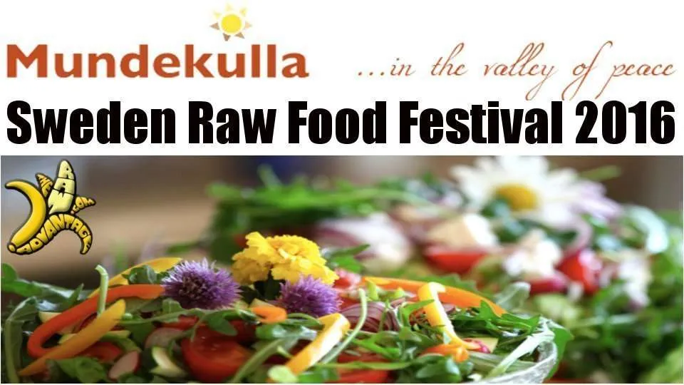 Mundekulla Raw Festival in Sweden 2016 – Banana Commander Vision!