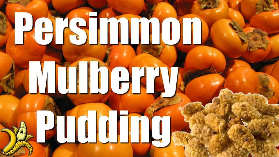 Persimmon mulberry pudding