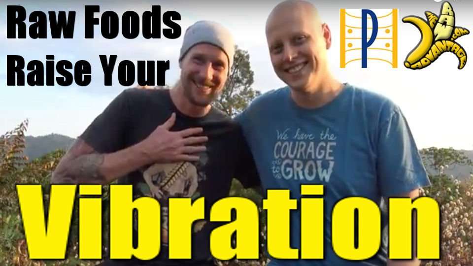 Raw foods raise your vibration