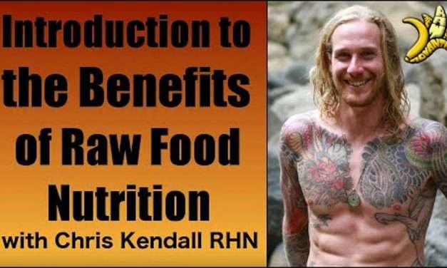 Introduction to the Benefits of Raw Food Nutrition with Chris Kendall RHN