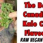 The Best Canadian Kale Chip Flavour – Raw Vegan Recipe