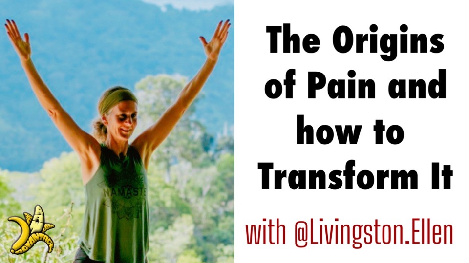 The Origins of Pain and how to Transform it with Ellen Livingston