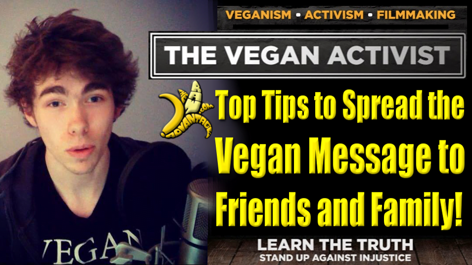 Vegan Activist – Top Tips to Spread the Vegan Message to Friends and Family