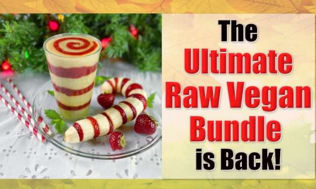 The Ultimate Raw Vegan Bundle IS BACK!