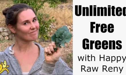 Unlimited Free Greens with Happy Raw Reny