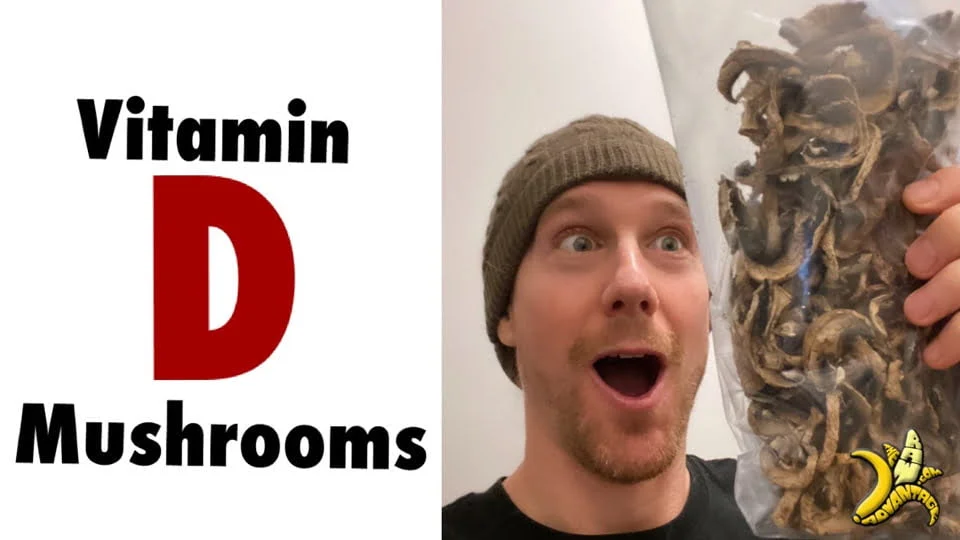 Vitamin D Mushrooms?