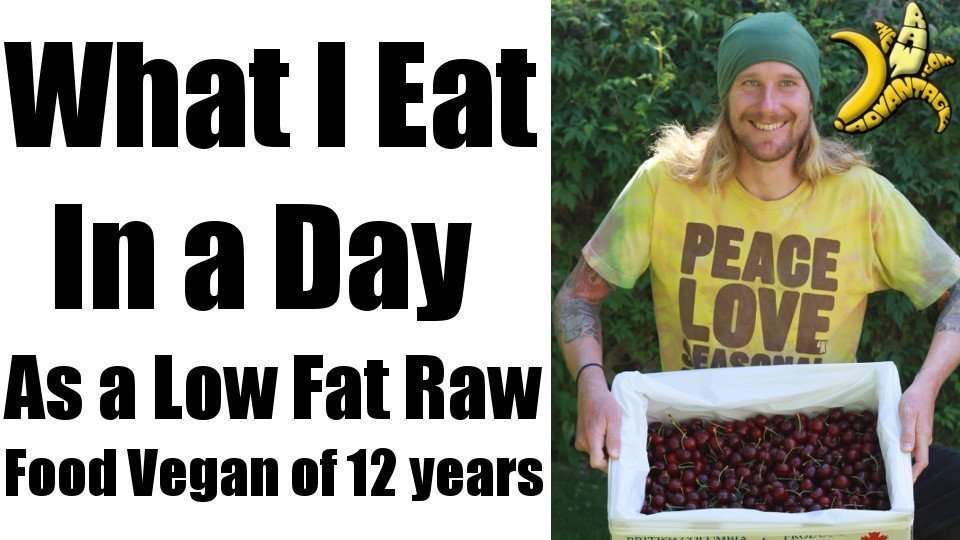 What I Eat in A Day, Low Fat Raw Vegan of 12 Years