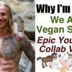 Why I’m Vegan | We Are Vegan Strong