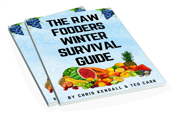 Winter Survival Guide 3DCovers