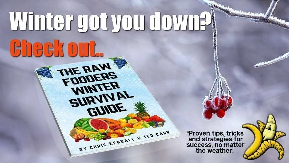 The Raw Fooders Winter Survival Guide