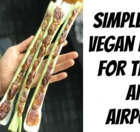 Simple Raw Vegan Recipe for Travel and Airports!