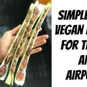 Simple Raw Vegan Recipe for Travel and Airports!