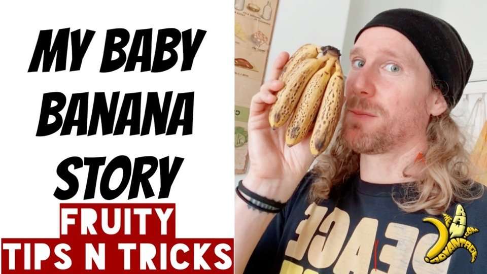 My Baby Banana Story – Fruity Tips n Tricks!