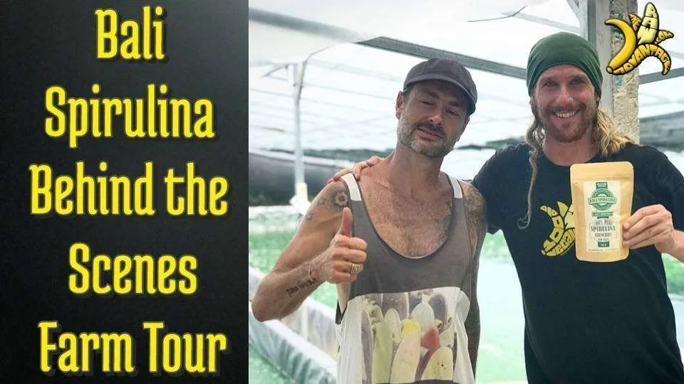 “Bali Spirulina” Behind the Scenes Farm Tour!