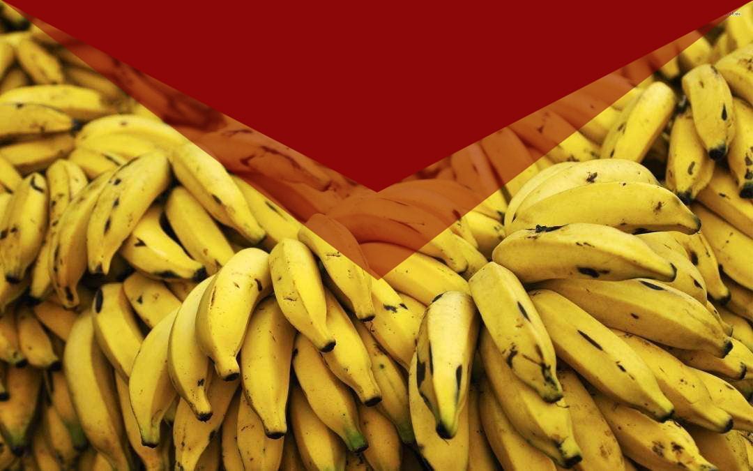 banana background1 1