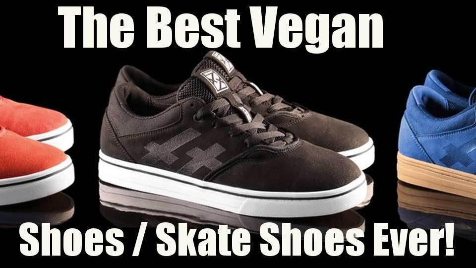 Vegan Shoes review, Best Vegan Skate 