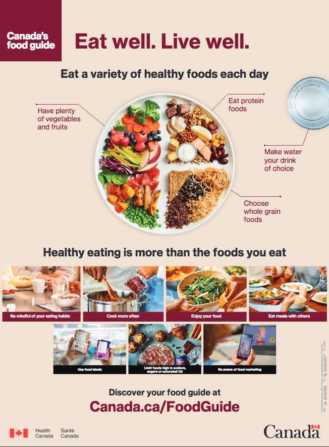 canada food guide poster 2019