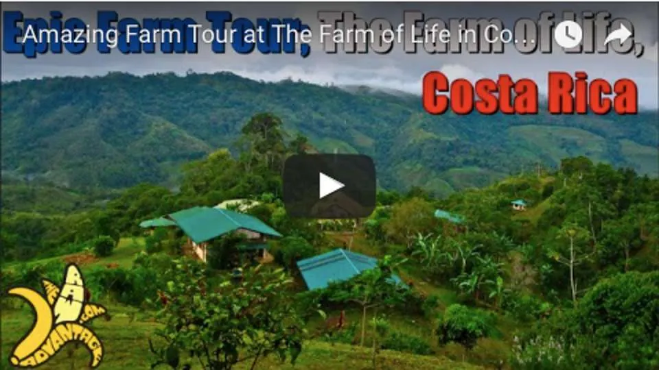 Amazing Raw Food Farm Tour at The Farm of Life