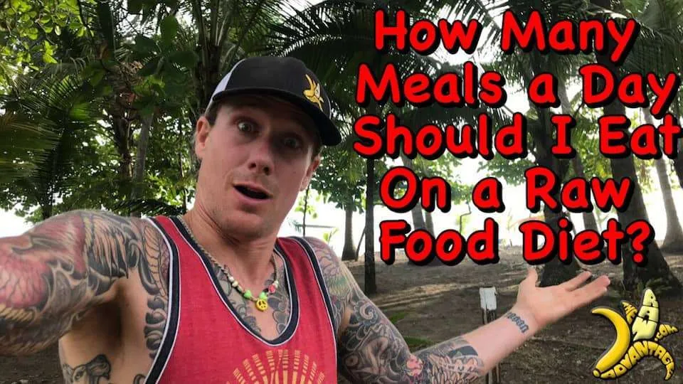How Many Meals Should I Eat In a Day on a Raw Food Diet?