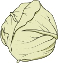 Important Ingredients Tips 7 important ingredients cabbage 1